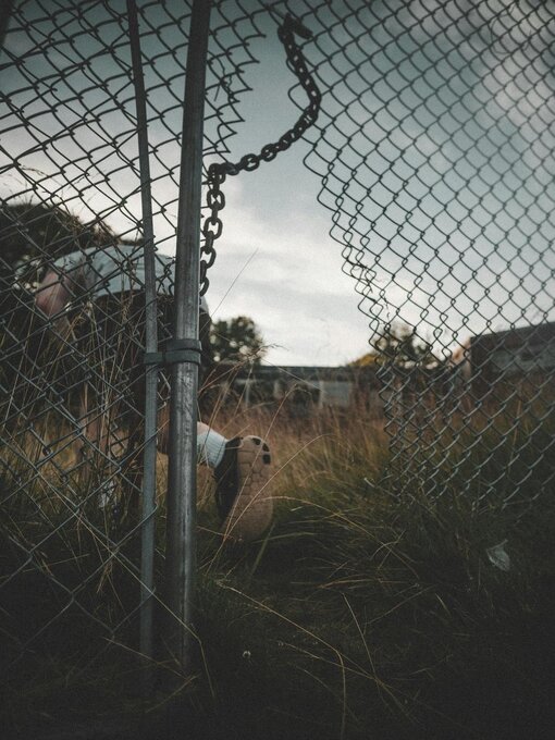 Title details for Freedom Isn't Free by Billie Gomez - Available